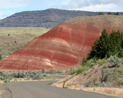 Fossil Beds